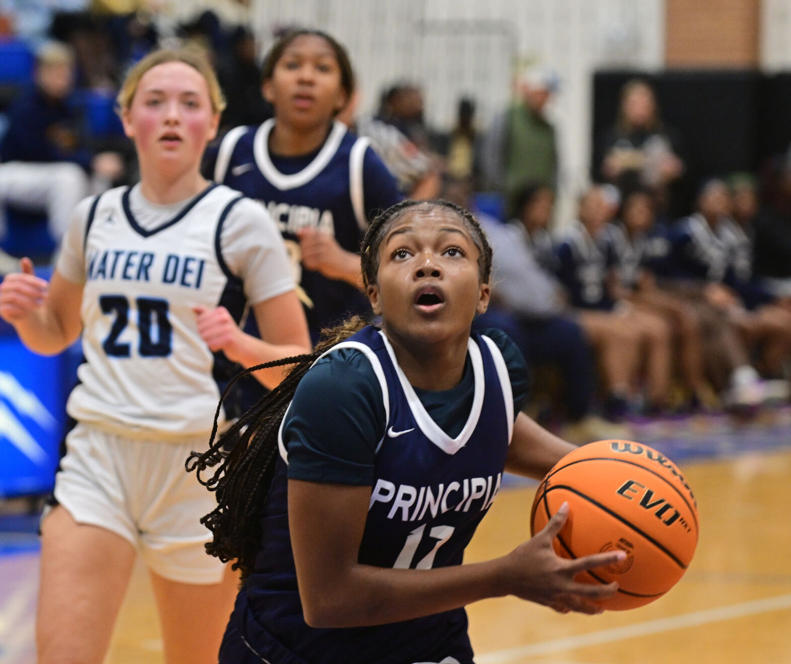 Principia vs Mater Dei